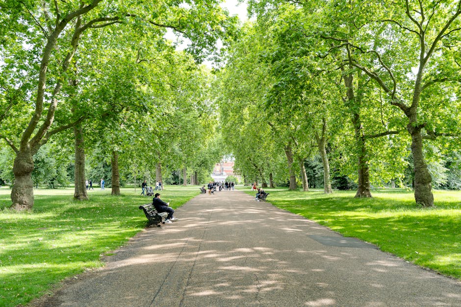 A wide view of a public park area in West Kensington, showing a large, ornate, multi-tiered monument with intricate sculptures and decorative details, located on a paved circular area surrounded by low fencing. To the right, there is a large, historic, circular building with a domed roof and arched windows, constructed with brick and stone materials. Lush green trees frame the scene on both sides, and a paved walkway extends from the foreground towards the monument and building. Some pedestrians are visible walking in the distance, and the overcast sky above has light clouds. The scene highlights an outdoor urban space that could be part of a home relocation or moving process involving transportation of items or equipment near notable city landmarks, as associated with professional removals services in West Kensington.